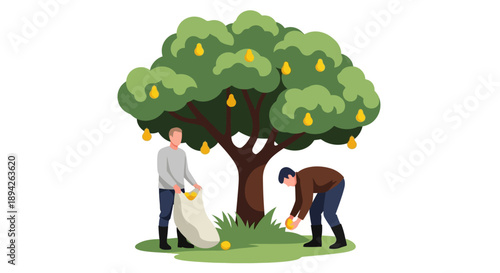 Two people harvesting fruit from a lush green tree in a serene outdoor setting