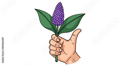 A hand holding a purple flower with green leaves in a thumbs up gesture from a front viewpoint