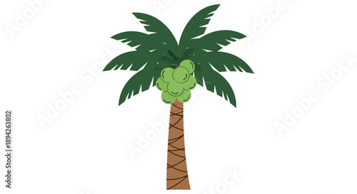 A cartoon palm tree with green leaves and a brown trunk is standing alone on a white background viewed from the front