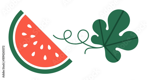 A vibrant illustration of a watermelon slice with seeds and a leafy vine, showcasing summer freshness and healthy snacking in a simple graphic style