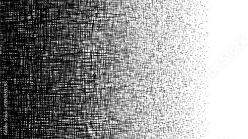 A black and white textured surface with a gradual transition from dense to sparse patterns viewed from a straight-on perspective