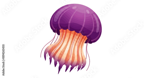 A purple jellyfish with orange tentacles floating in the ocean, viewed from the side, illustrating marine life