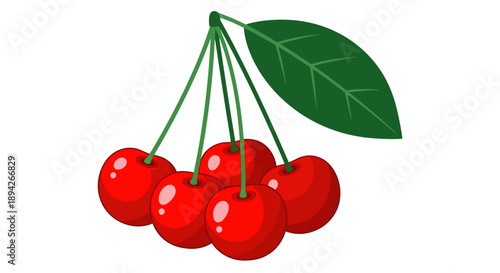 Bunch of ripe cherries hanging from stem with green leaf, illustration, close-up view
