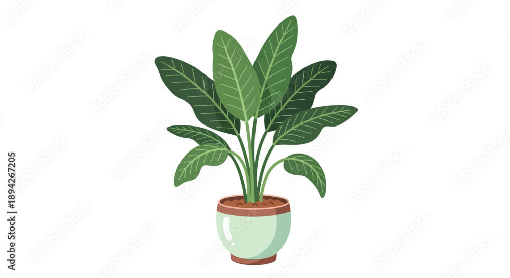 Fototapeta premium A large potted plant with green leaves in a light green pot, viewed from the front