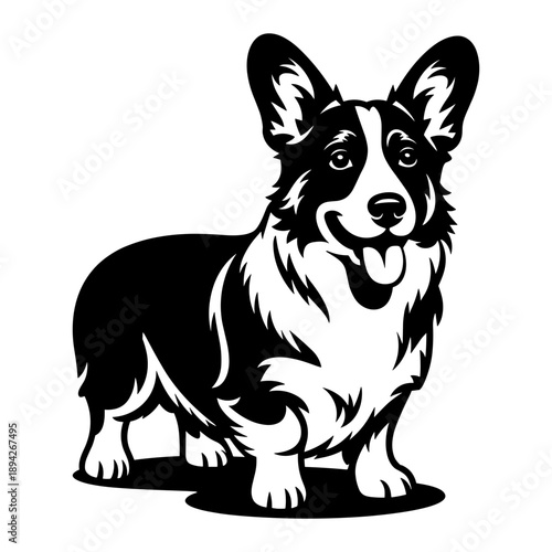 Cardigan Welsh Corgi