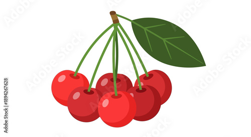 Bunch of red cherries with green stem and leaf, vibrant fruit illustration