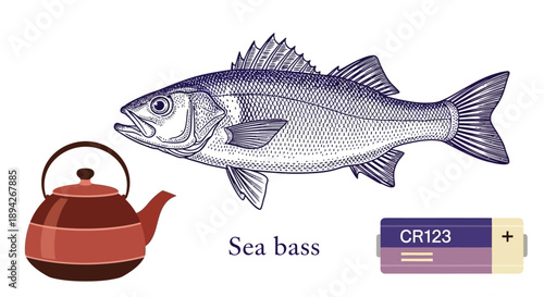 Illustration of sea bass alongside a tea kettle and battery on a plain background from a straightforward viewpoint