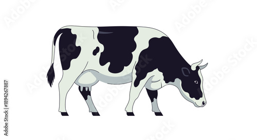 A vector illustration of a black and white cow grazing on a green pasture viewed from the side