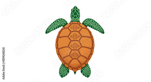 Illustration of a turtle viewed from above showcasing its shell and flippers in a digital art style