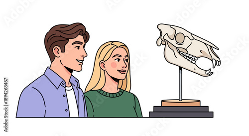 Couple observing a dinosaur skull exhibit in a museum setting from a frontal viewpoint