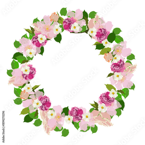 Cornice circolare floreale con fiori rosa e bianchi e foglie, illustrazione vettoriale isolata