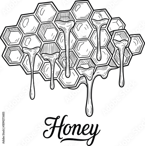 Honeycomb with dripping honey vector illustration flat design graphic art