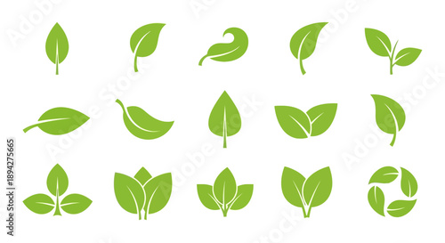 A versatile collection of fresh green leaf vector icons, perfect for illustrating environmental themes, organic products, and sustainable branding initiatives across various digital design projects