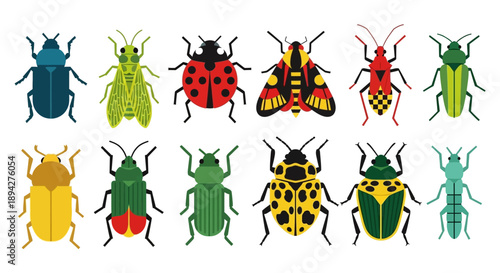 Collection of various colorful insects and bugs in a flat design style on a white background