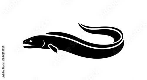Vector silhouette of an eel isolated on a white background
