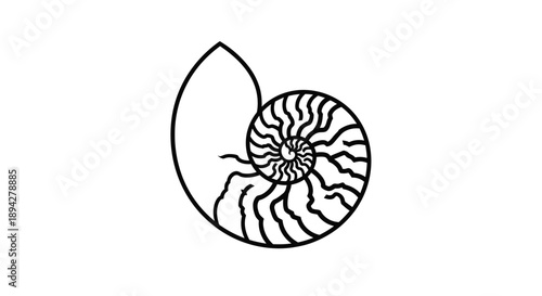 A high contrast black and white illustration of a nautilus shell viewed from the side on a white background