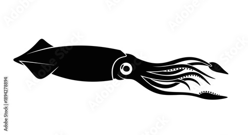 Squid Silhouette Illustration Isolated on White Background