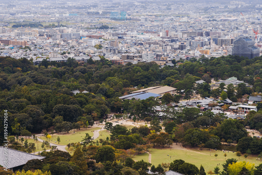 Fototapeta premium Nara, Japan, Nara Park landscape, Nara city view with buddhist temples and shinto shrines, Nara prefecture, Kansai, Japan, travel to Japan