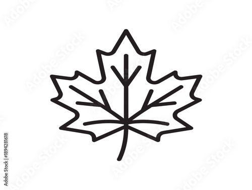 Minimalist maple leaf icon