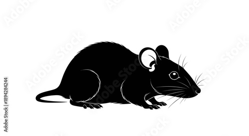 Minimalist black silhouette of a mouse isolated on a white background