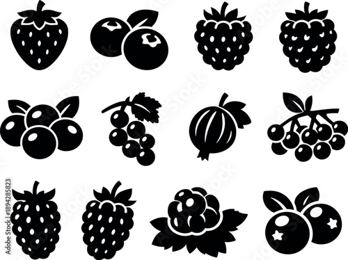 Solid vector icons of berries assortment: strawberry, blueberry, raspberry, blackberry, cranberry, currant, gooseberry,