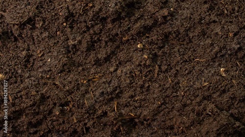 Vertical macro video showing moist, organically rich soil with visible texture and decomposed material. The composition reflects biological activity and natural processing by earthworms, ideal for