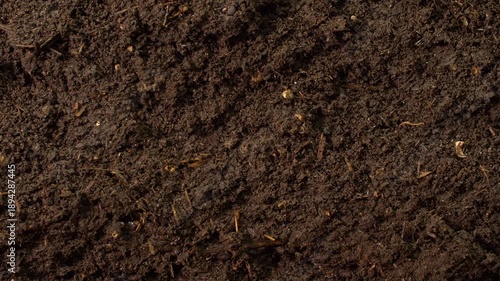 Vertical macro view with slow camera movement through a compost cross section in a controlled worm farm environment