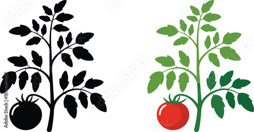 Tomato Plant Silhouette Set  Garden Stem, Leaves & Fruit Shapes