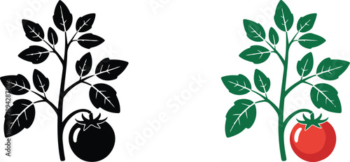 Tomato Plant Silhouette Set  Garden Stem, Leaves & Fruit Shapes