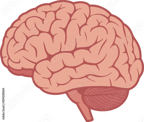 Brain Icon  Human Organ Symbol in Minimal Flat Vector Style