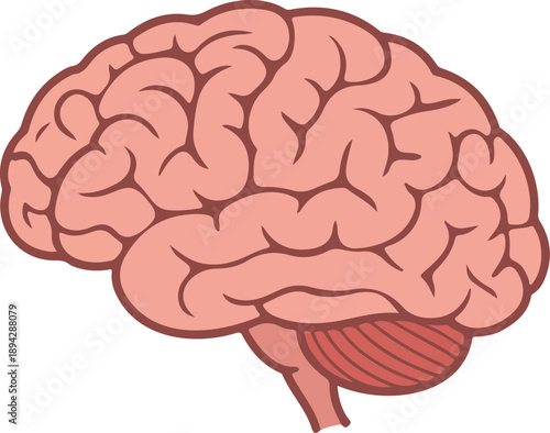 Brain Icon  Human Organ Symbol in Minimal Flat Vector Style