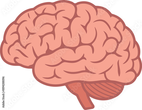 Brain Icon  Human Organ Symbol in Minimal Flat Vector Style