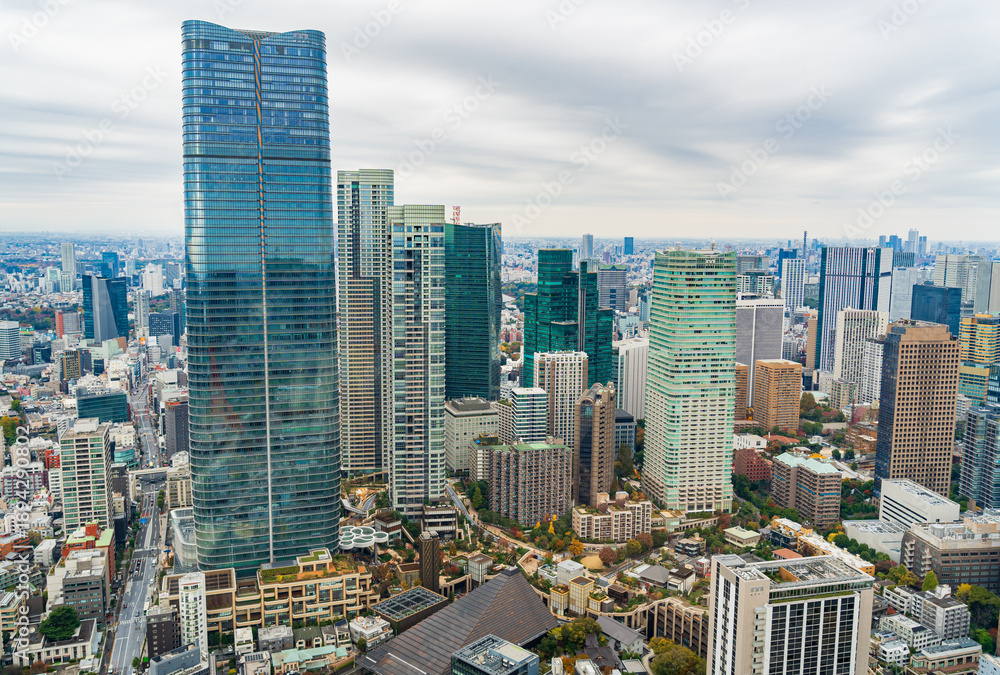 Fototapeta premium View from Tokyo Tower