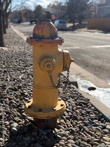 Yellow Fire Hydrant on Suburb Street