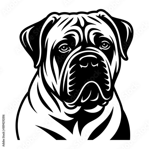 Bullmastiff Dog