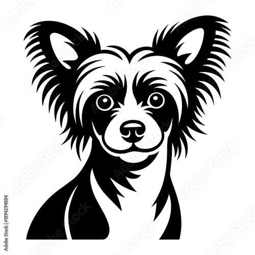 Chinese Crested Dog