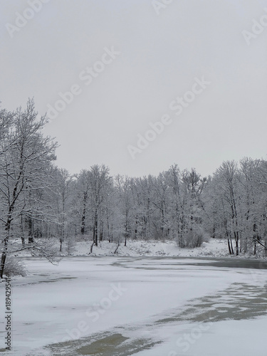 Winter landscape with snow-covered trees and frozen pond. Trees are covered with frost and snow, their branches look fragile and graceful.