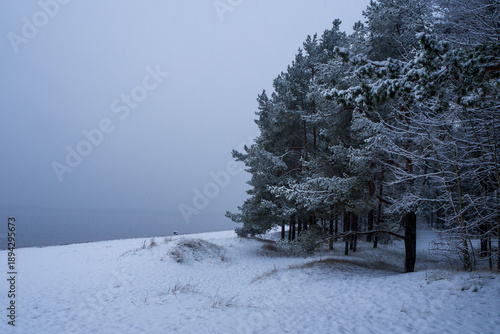 Calm, snowy winter landscape of pine trees on a hillside next to frozen body of water under overcast sky.