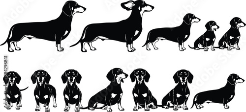 Collection of black and white dachshund dog silhouettes in various poses, stylized pet illustrations, canine artwork for design and decoration