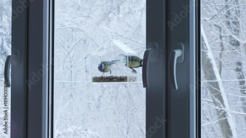 birds peck seeds from a suction-cup feeder placed on a window, with a snowy landscape behind. Soft winter tones convey calmness and balance. Works for concepts of harmony, nature connection, and