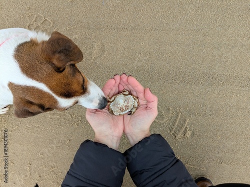 Foto A North Sea beach