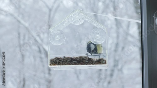 A titmouse pecks grains at a feeder on a snowy day. Bare winter trees create a raw seasonal look emphasizing wildlife survival.