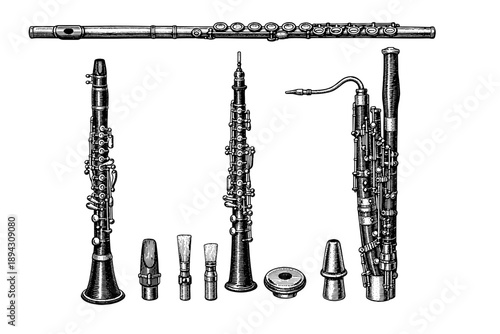Woodwind instruments collection: flute, clarinet, oboe, reed, bassoon