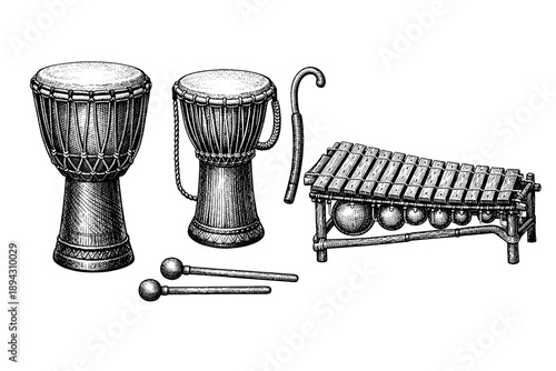 Intricate sketch of traditional percussion instruments djembe and xylophone