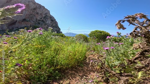 POV: Walk along a narrow coastal trail bordered by blooming purple thistles, colorful wildflowers and green shrubs. Rocky cliff rises on the left while Mediterranean Sea shines under a clear blue sky.