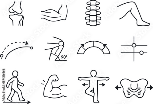 Line style of virtual physical therapy icons: joint, muscle, spine, limb; motion path, angle guide, range arc, alignment;