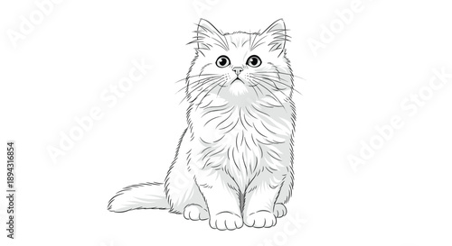 Fluffy White Cat Sitting and Looking Directly Forward in a Detailed Sketch Illustration Style Highlighting Fur Texture and Expressive Eyes for Pet Lovers