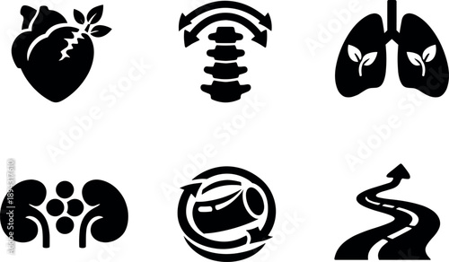 Solid style icons of organ regeneration potential: heart tissue regrowth, spinal cord repair arcs, lung tissue renewal, kidney