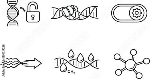 Line style icons of gene-expression renewal: silenced-gene unlock arc, chromatin-relax slice, regulatory toggle