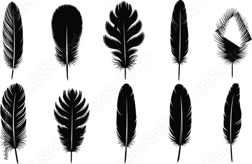Black feather silhouette collection showcasing diverse shapes, elegant bird plumage illustration elements for art, design, nature, and creative projects